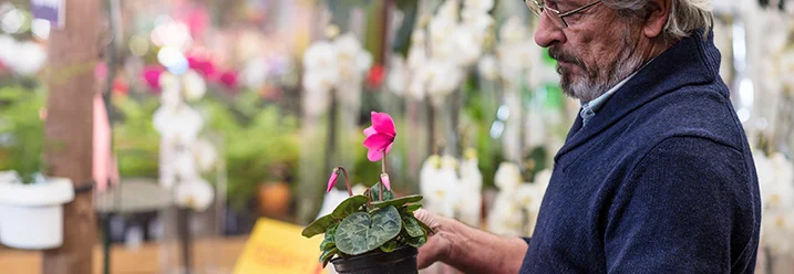 Person betrachtet eine Pflanze